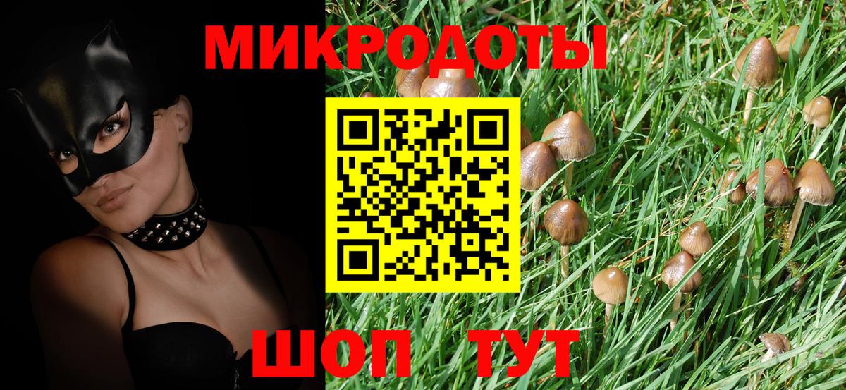 сколько стоит  Псилоцибиновые грибы мухоморы  Вход с VPN  Тосно 