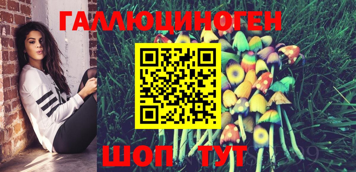 Галлюциногенные грибы Psilocybe Тосно