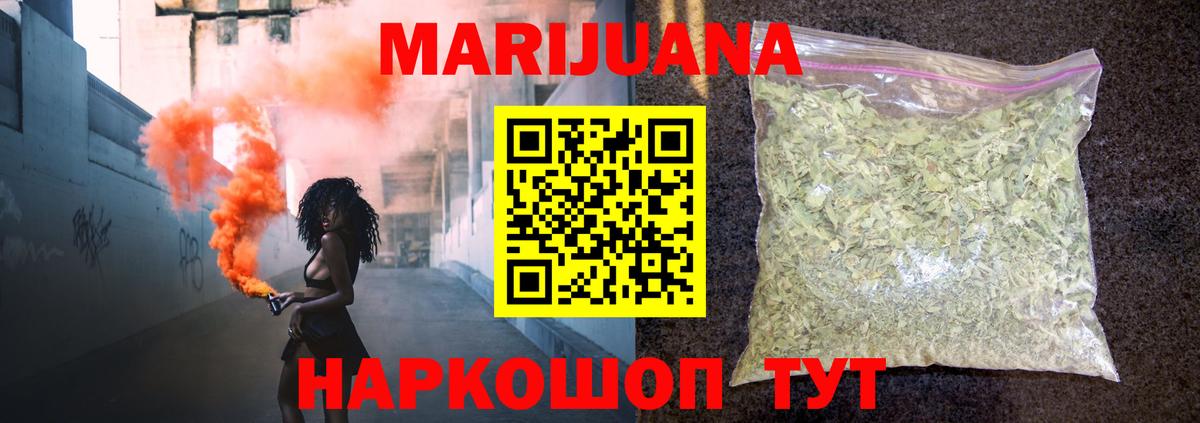 Конопля планчик Тосно